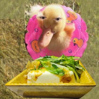 水菜冷奴✧˖°
