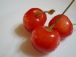 Cherry-B