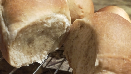 ノンオイルのパンを初めて作りましたが美味しく出来ました♪
罪悪感少ないのでこれからも作り続けたいと思います
\⁠(⁠๑⁠╹⁠◡⁠╹⁠๑⁠)⁠ﾉ⁠♬