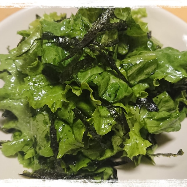 グリーンリーフと刻み海苔のサラダ レシピ 作り方 By ぼーずの母ちゃん 楽天レシピ グリーンリーフと刻み海苔のサラダ レシピ 作り方 By ぼーずの母ちゃん 楽天レシピ