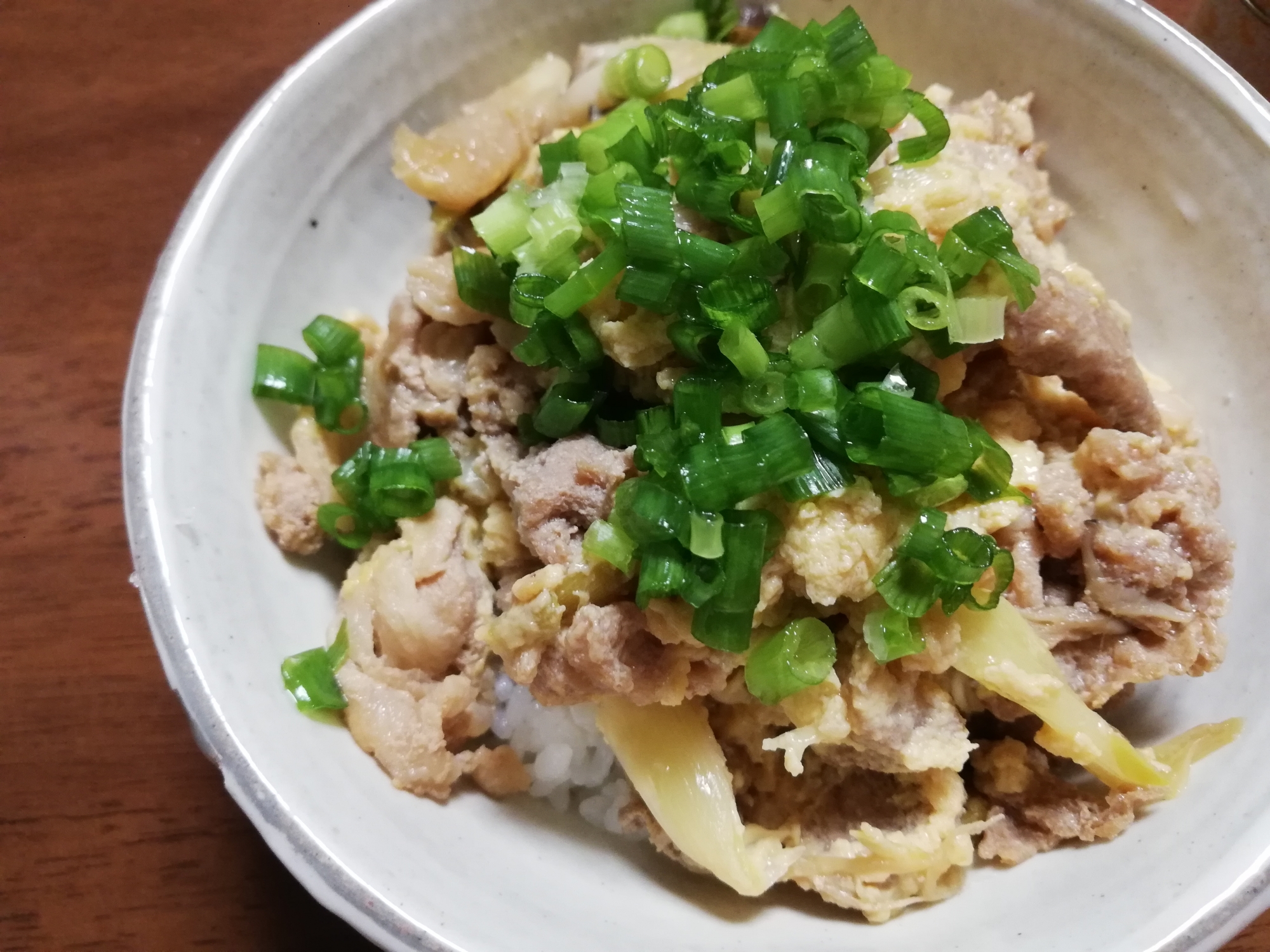 たっぷりネギの豚丼