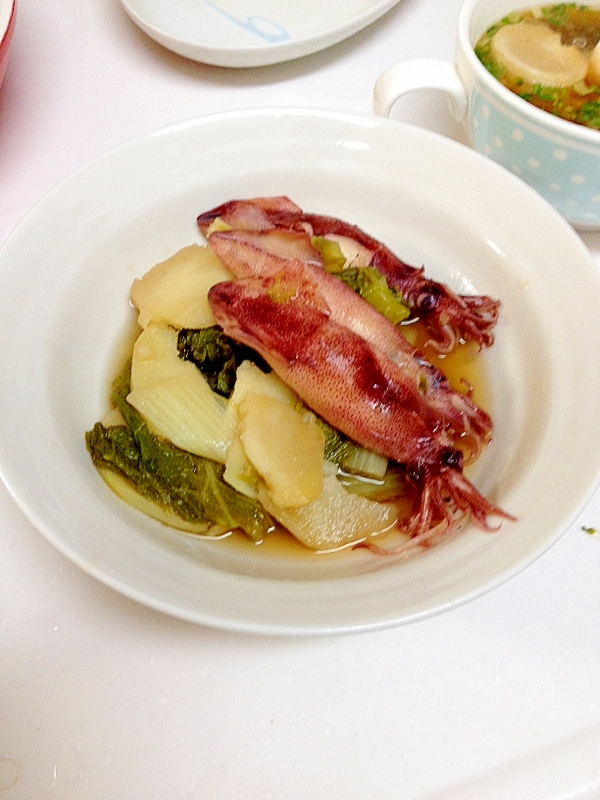 子持ちイカと菜っ葉の煮物 レシピ 作り方 By とっこ 楽天レシピ