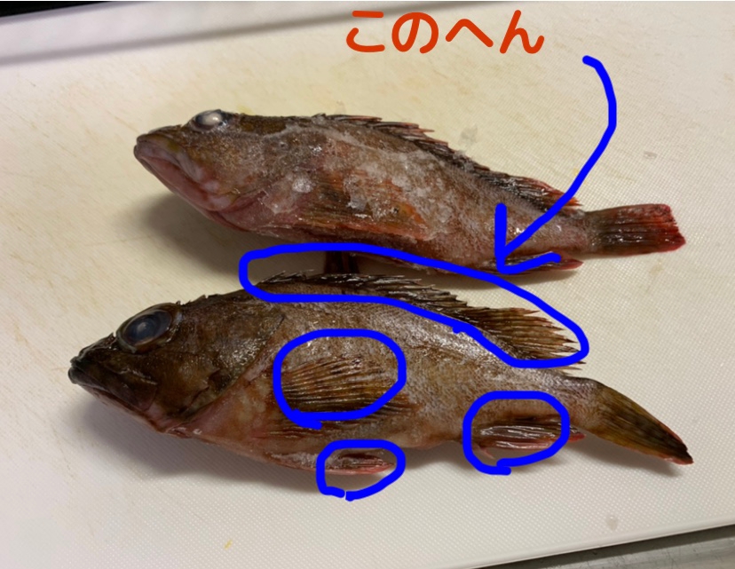 カサゴの味噌汁 レシピ 作り方 By Panda2929 楽天レシピ