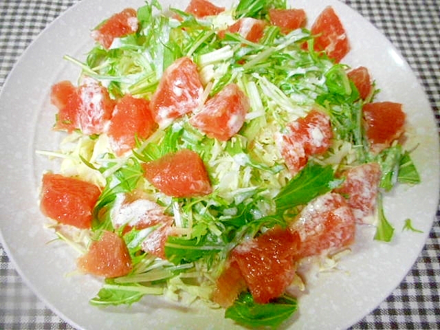 グレープフルーツとキャベツ水菜のサラダ