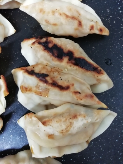 豚とキャベツの焼き餃子