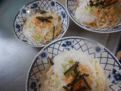 とろろ芋の釜揚げつけうどん