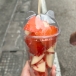 sno-1020