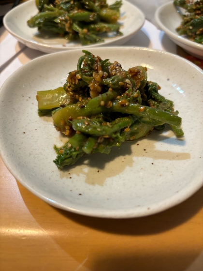 【旬味/山菜】タラの芽ごま和え