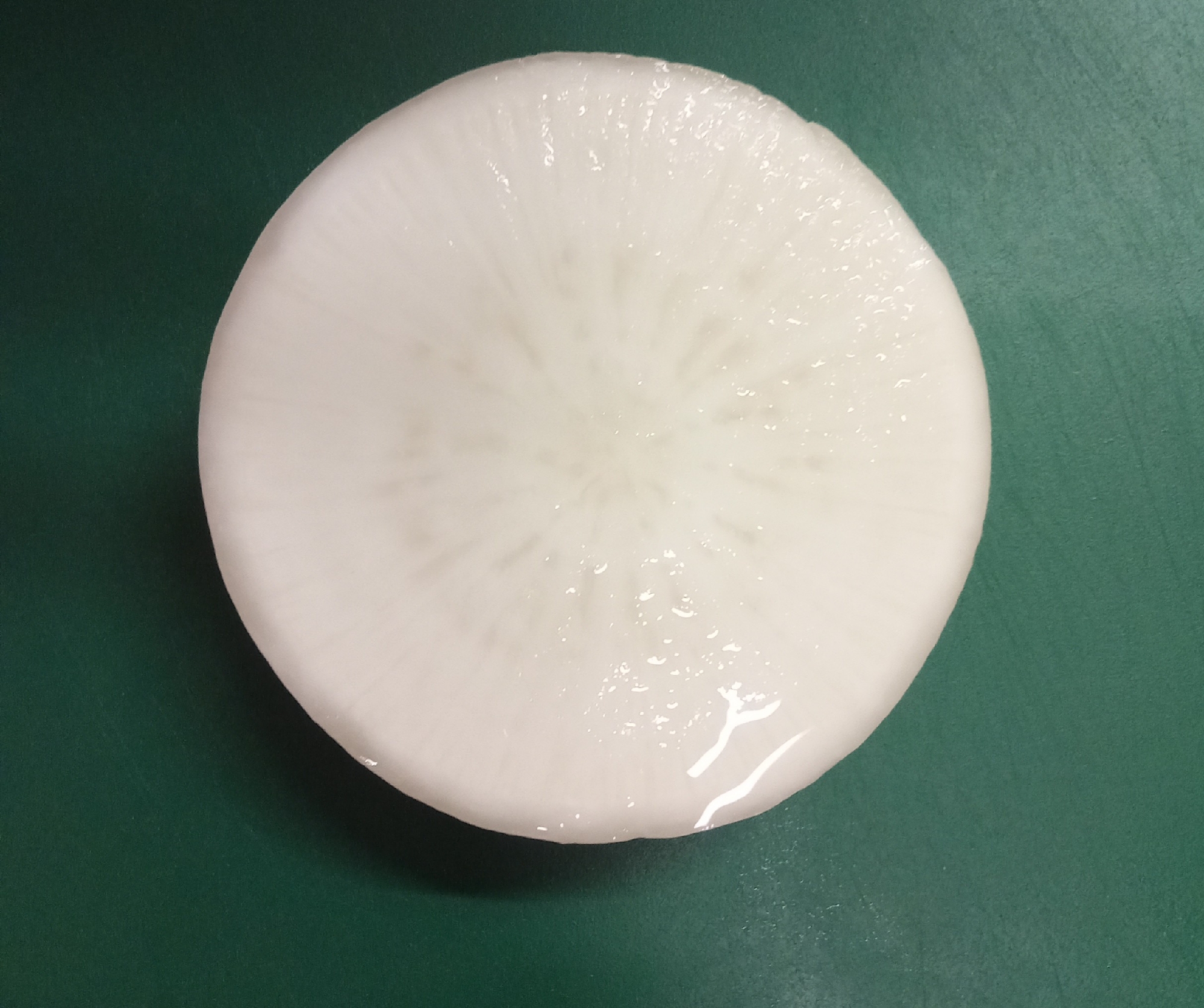 しなびた大根！！復活方法〜♫