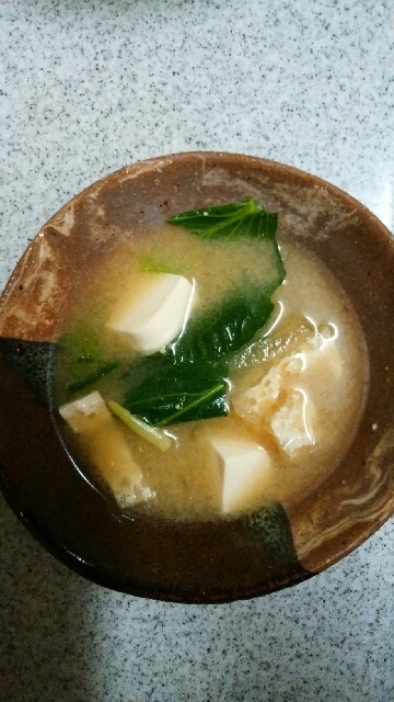 小松菜と油揚げと豆腐の味噌汁