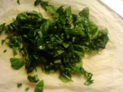 R Rqwvoo Qpjdm R Rqwvoo Qpjdm