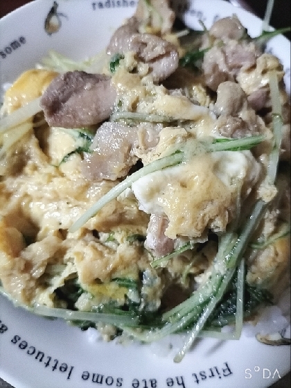 水菜入り♪たっぷり玉ねぎの親子丼