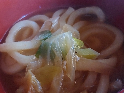 ぽかぽか☆生姜とねぎの温うどん