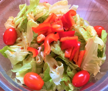 簡単醤油ドレッシングの野菜サラダ