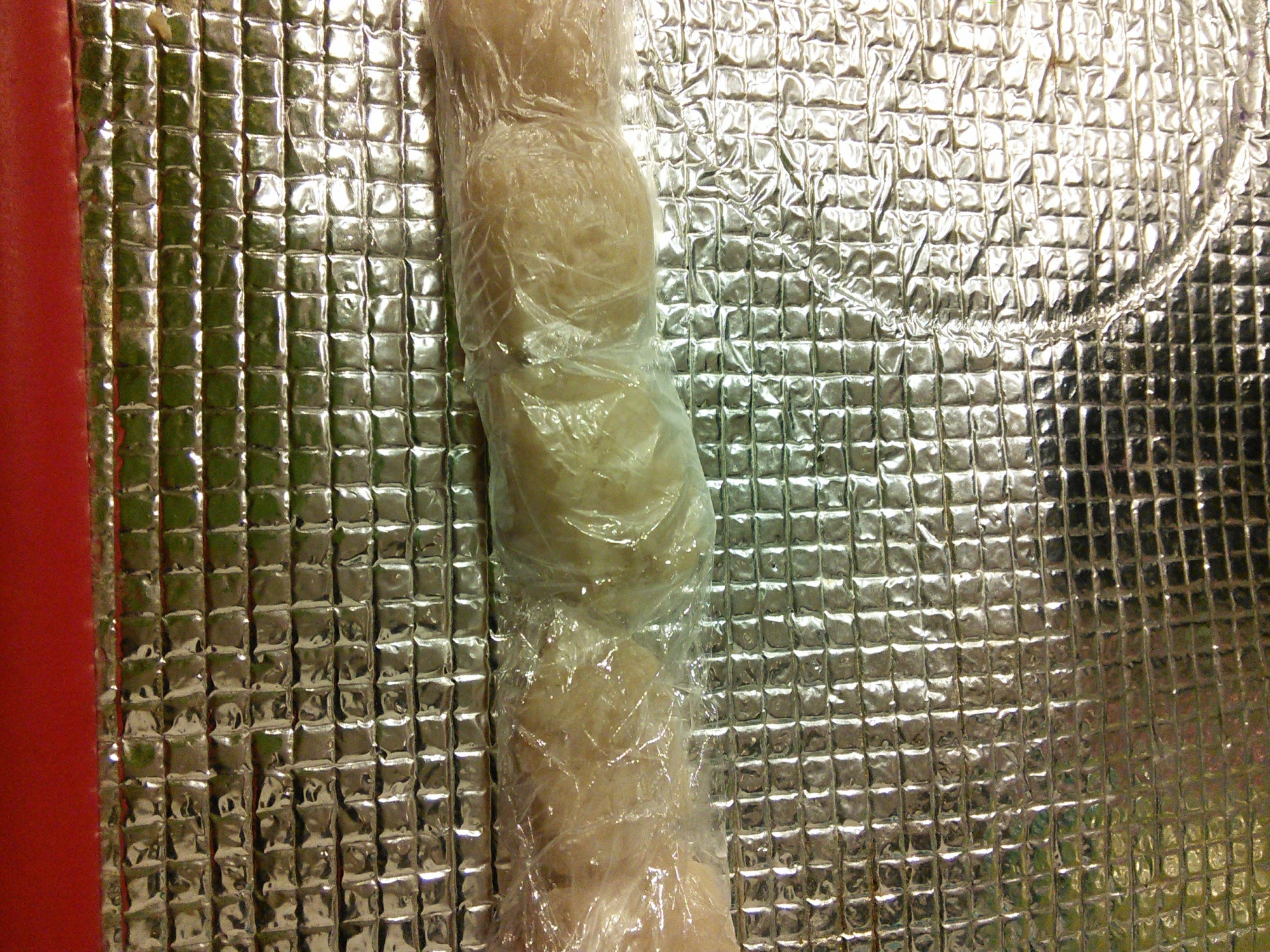 【7、8か月離乳食】レンコンの保存方法