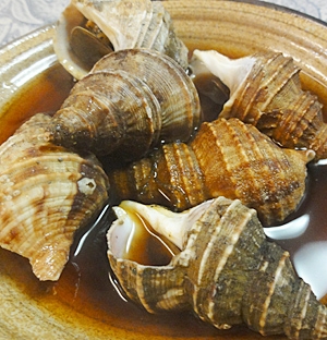 磯つぶを煮て レシピ 作り方 By 2727椿 楽天レシピ