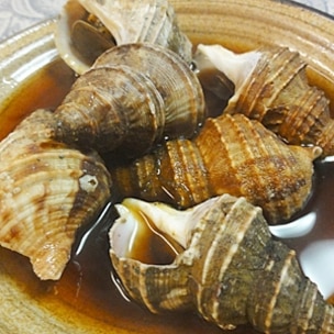 磯つぶを煮て レシピ 作り方 By 2727椿 楽天レシピ 磯つぶを煮て レシピ 作り方 By 2727椿 楽天レシピ