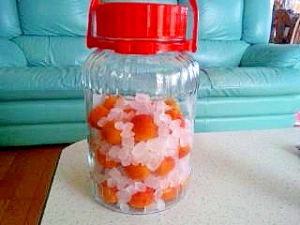 あんずのシロップ レシピ 作り方 By ぷりりんk 楽天レシピ あんずのシロップ レシピ 作り方 By ぷりりんk 楽天レシピ