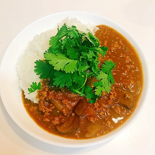 茄子とひき肉のエスニックカレーライス♪