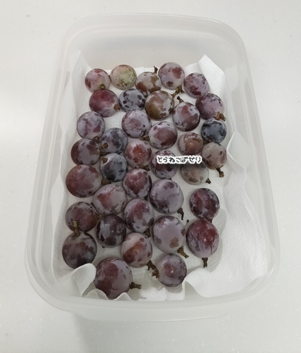 ぶどうの保存方法