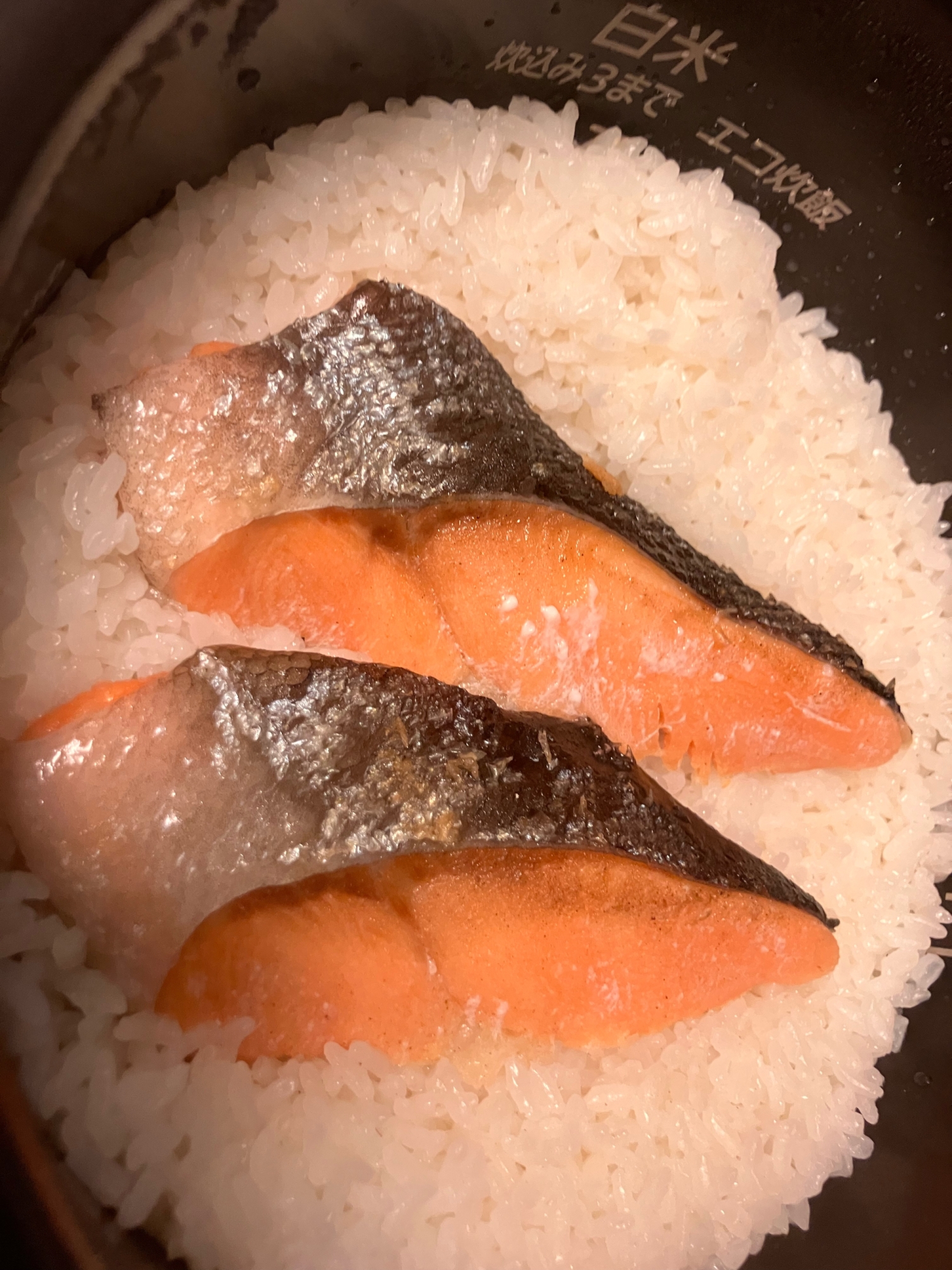しゃけごはん