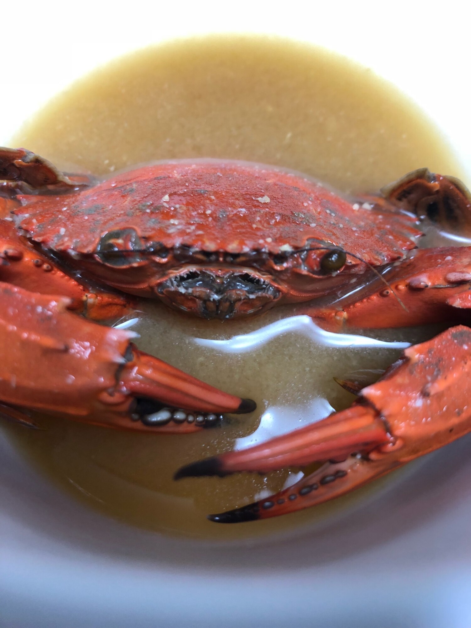 安くて美味い イシガニの味噌汁 レシピ 作り方 By Nr Cheesecake 楽天レシピ 安くて美味い イシガニの味噌汁 レシピ 作り方 By Nr Cheesecake 楽天レシピ