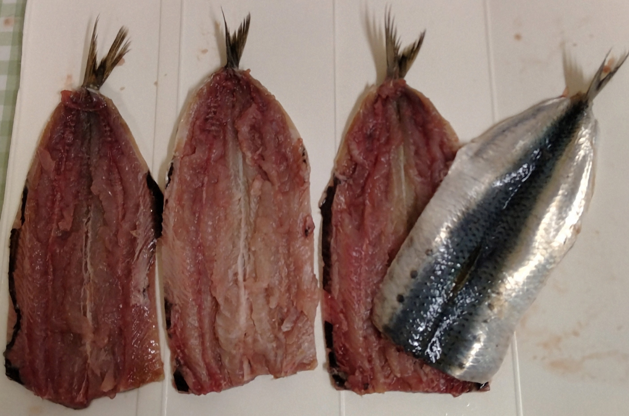 手開きでOK!!　『イワシ』