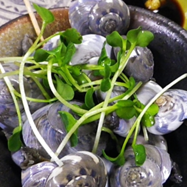 ながらみのワサビ醤油 レシピ 作り方 By Leopoo 楽天レシピ ながらみのワサビ醤油 レシピ 作り方 By Leopoo 楽天レシピ