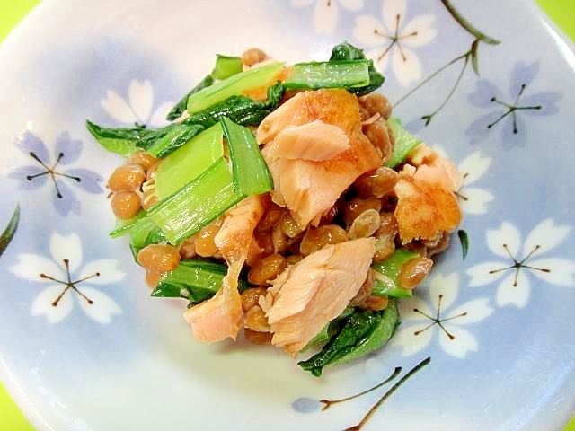 鮭と小松菜の納豆和え