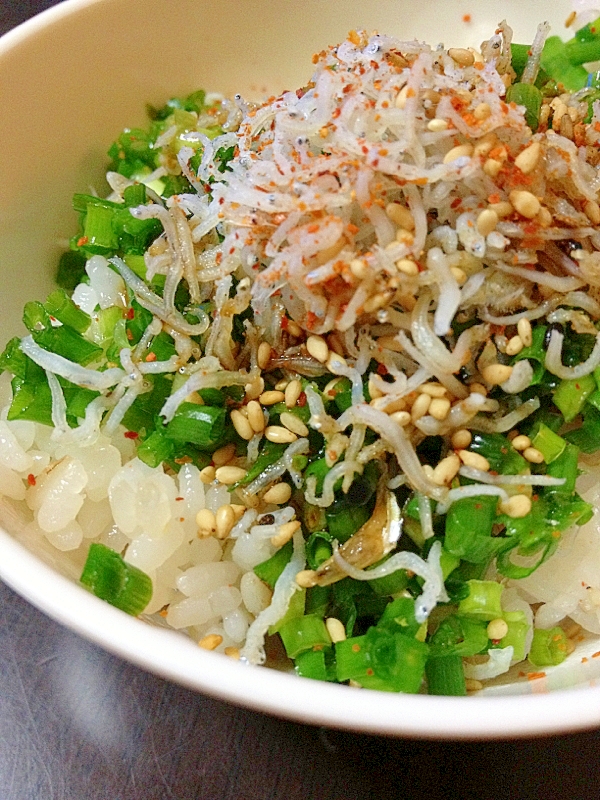 面倒なお昼は☆ぶっかけ丼〜ピリ辛じゃこネギ飯〜