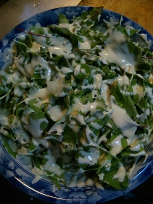 葉っぱがいっぱいのイタリアンサラダ レシピ 作り方 By 美優 楽天レシピ 葉っぱがいっぱいのイタリアンサラダ レシピ 作り方 By 美優 楽天レシピ