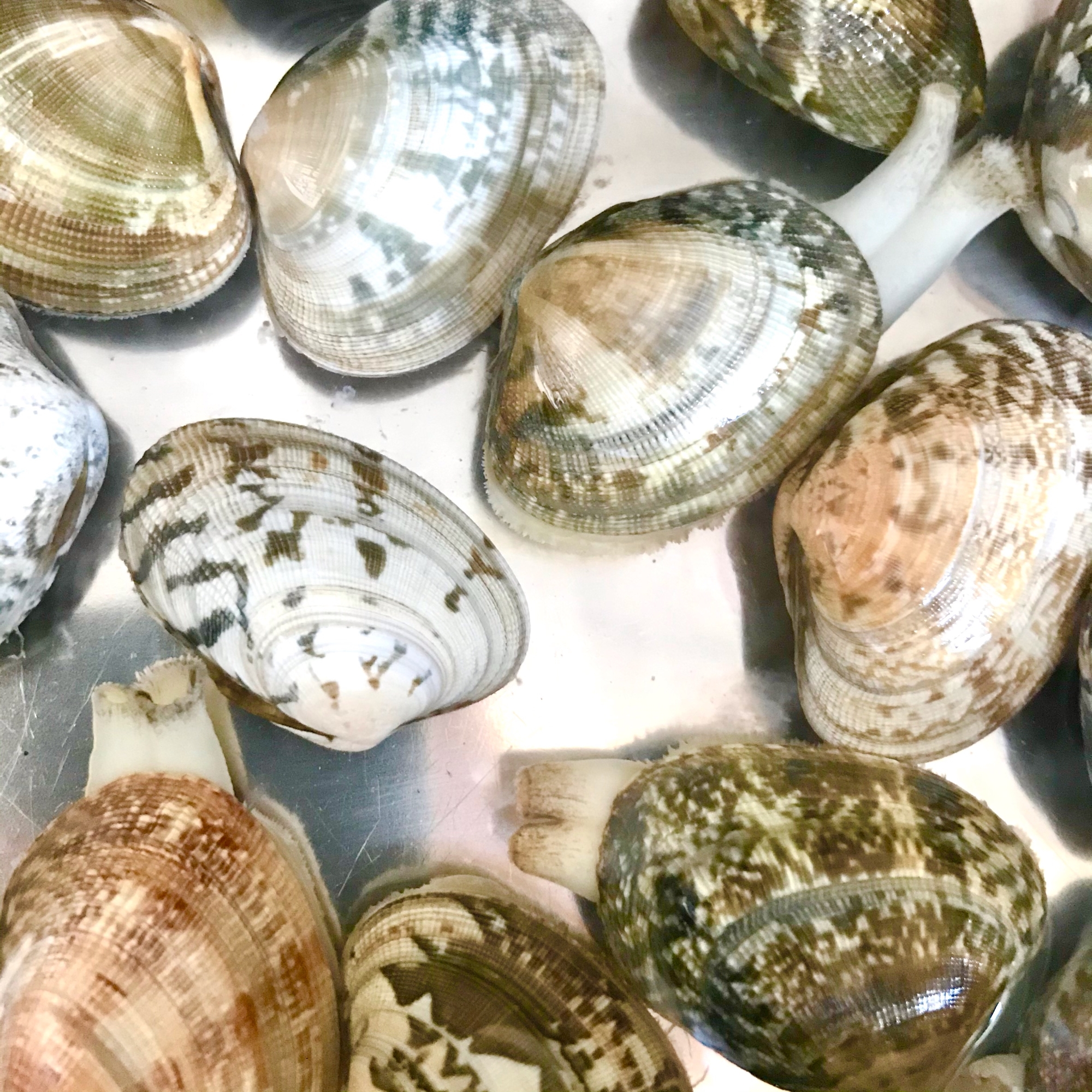 あさりの砂抜き レシピ 作り方 By ふなうた 楽天レシピ あさりの砂抜き レシピ 作り方 By ふなうた 楽天レシピ