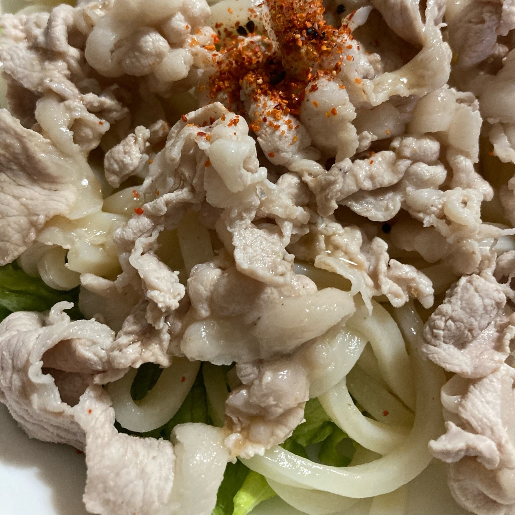 豚しゃぶサラダうどん