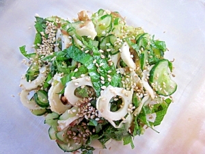 きゅうり ちくわと大葉のめんつゆ和え レシピ 作り方 By アルプスの乙女 楽天レシピ