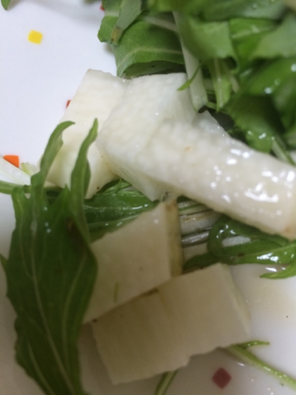 ツーンと♡長芋と水菜のサラダ