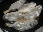 ウオゼのオリーブ油焼き レシピ 作り方 By ねあっっ 楽天レシピ ウオゼのオリーブ油焼き レシピ 作り方 By ねあっっ 楽天レシピ