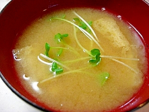 大根とカイワレ大根のお味噌汁