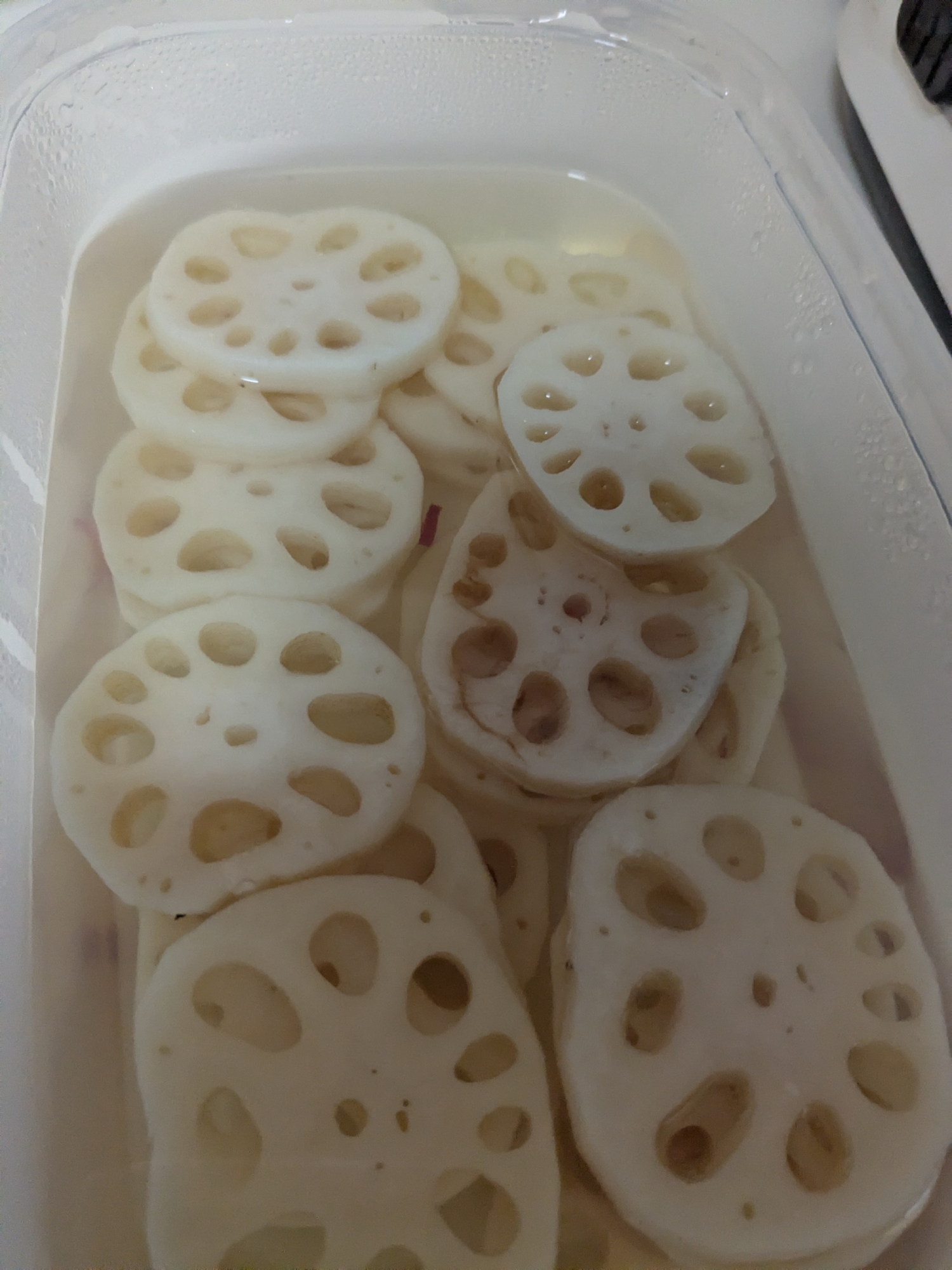 2025年末　酢れんこん