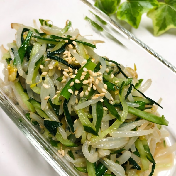 簡単もやしナムル 作り置きにも レシピ 作り方 By 1ダイエット料理 楽天レシピ 簡単もやしナムル 作り置きにも レシピ 作り方 By 1ダイエット料理 楽天レシピ