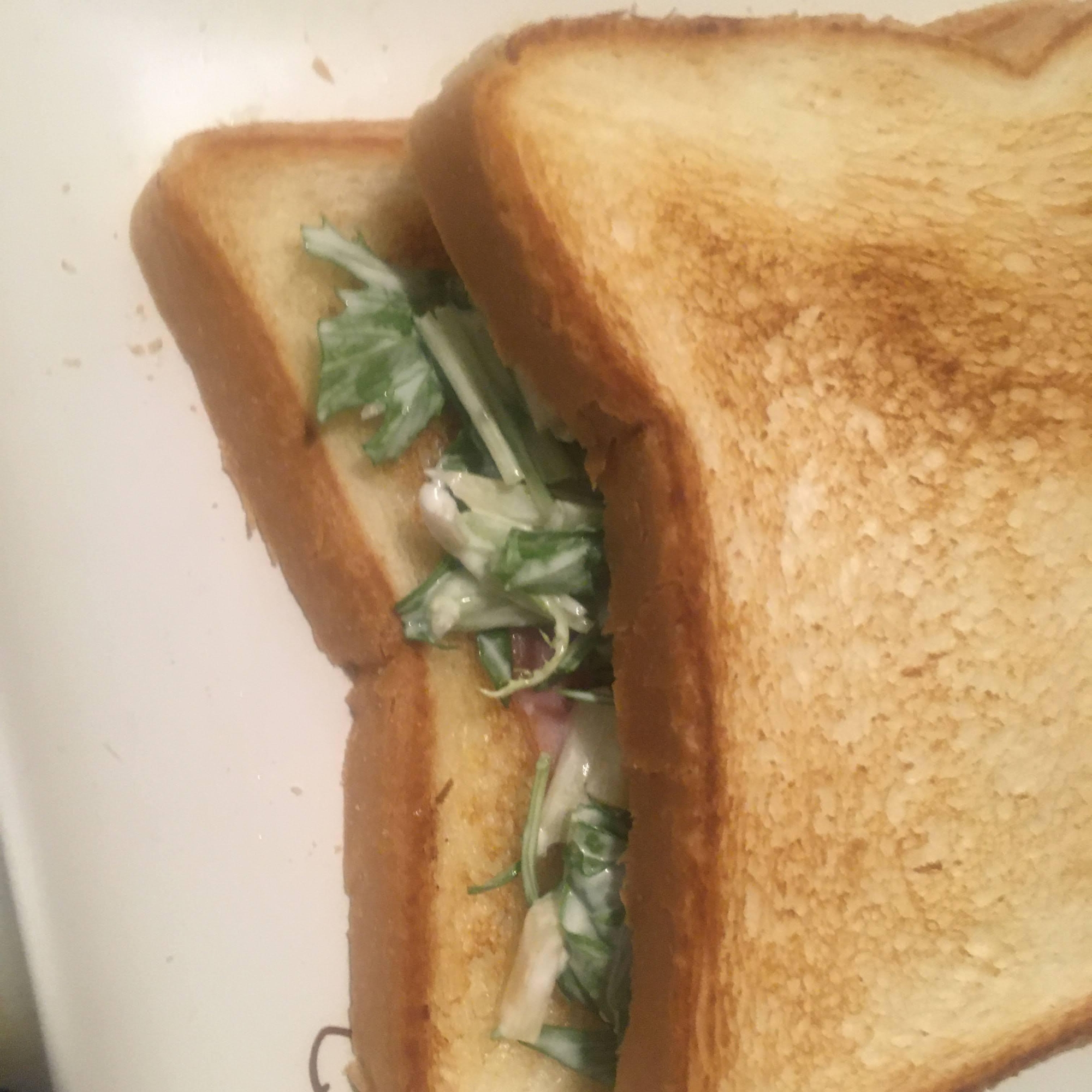 竹の子、水菜、ハムのサンドイッチ