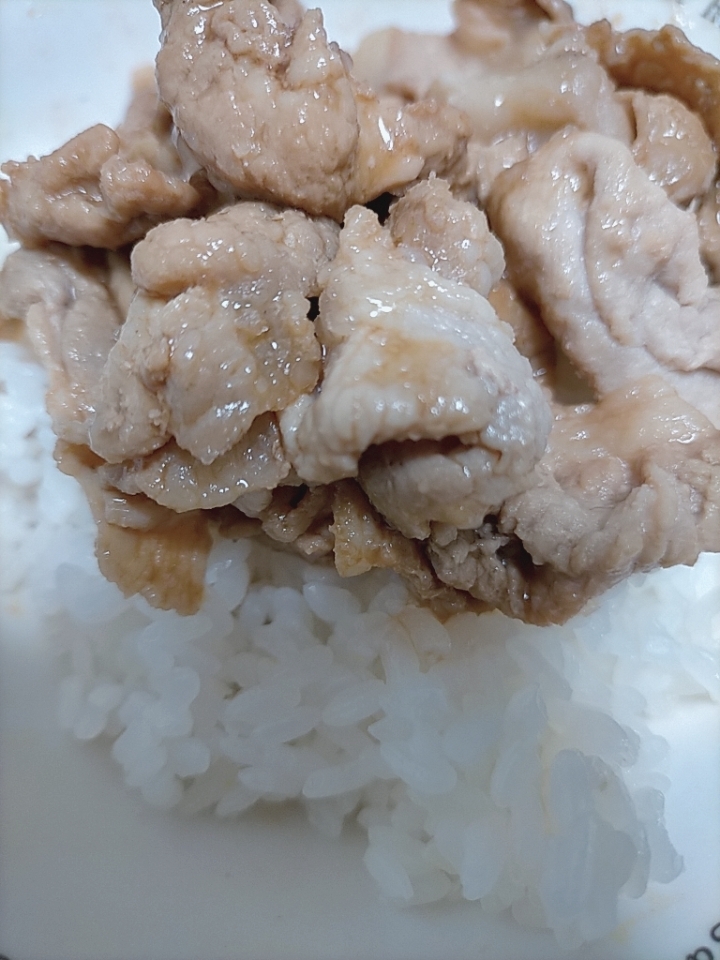 豚肉だけで美味しい豚丼