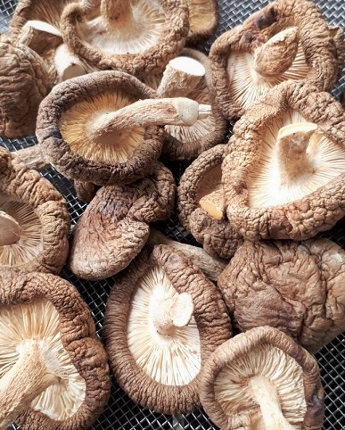 超簡単に出来る 安くて安心自家製干し椎茸 レシピ 作り方 By 林檎じゃむ 楽天レシピ 超簡単に出来る 安くて安心自家製干し椎茸 レシピ 作り方 By 林檎じゃむ 楽天レシピ