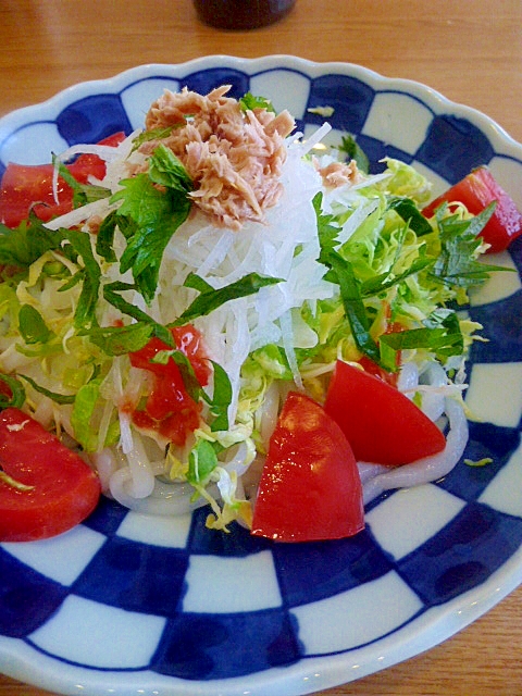 ヘルシー！サラダうどんこんにゃく