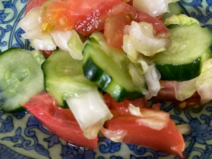 キャベツきゅうりトマトのサラダ