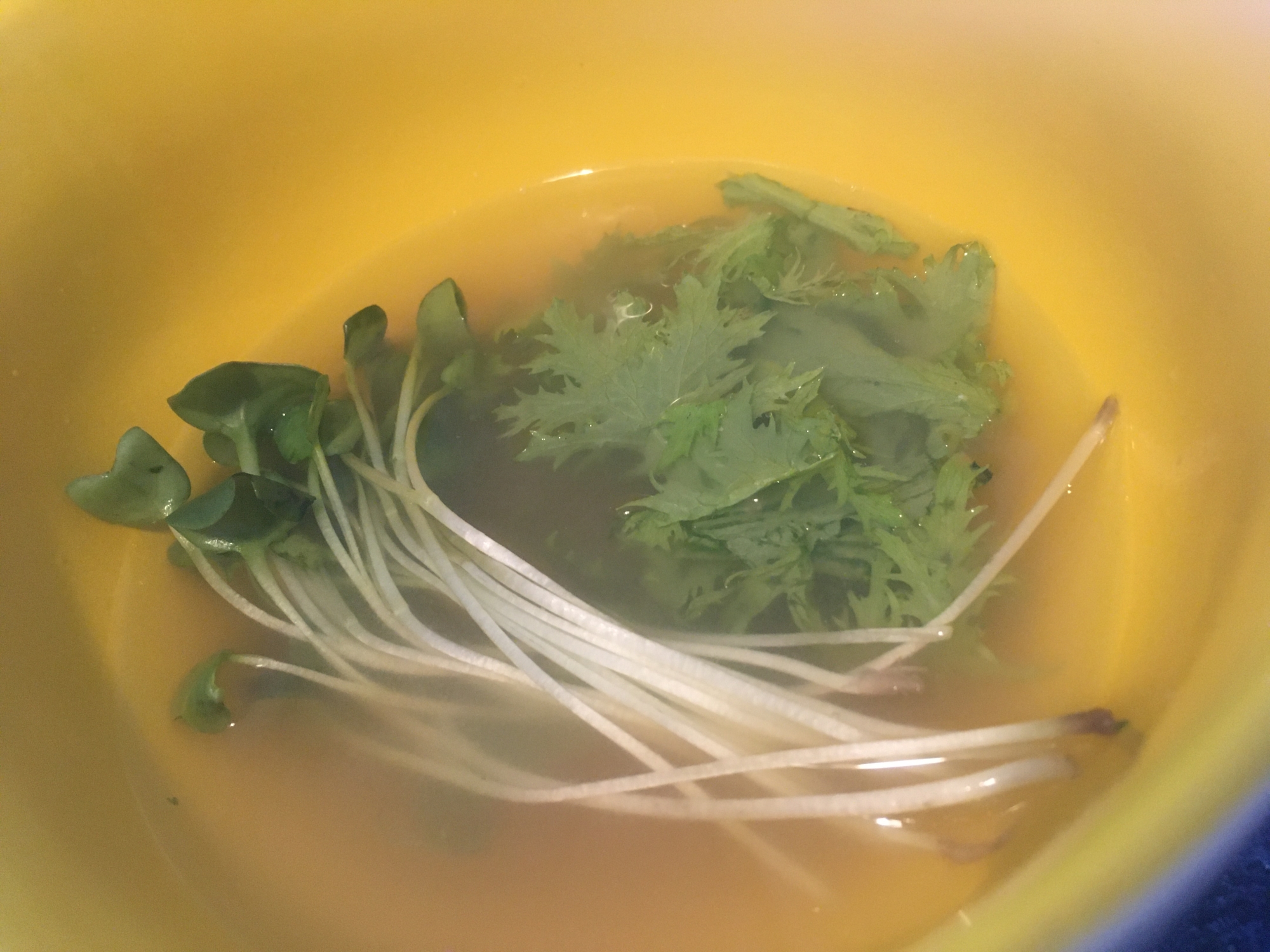 ワサビ菜とかいわれ大根の味噌汁