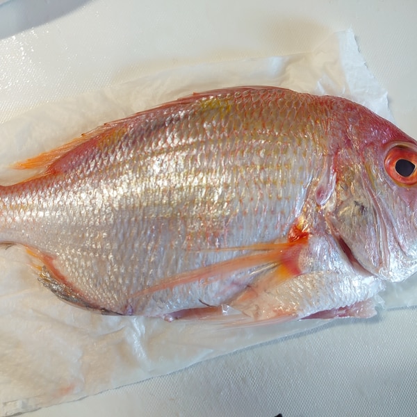 鯛の下処理 レシピ 作り方 By Rururu13 楽天レシピ 鯛の下処理 レシピ 作り方 By Rururu13 楽天レシピ