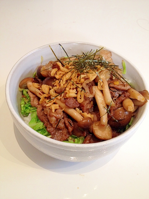 キャベツと甘辛牛肉の丼