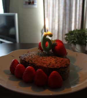 犬用 バースデーハンバーグ レシピ 作り方 By がんばれファイターズ 楽天レシピ 犬用 バースデーハンバーグ レシピ 作り方 By がんばれファイターズ 楽天レシピ