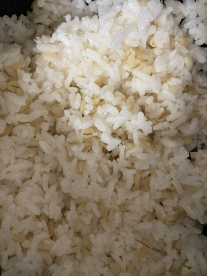 もち麦ごはん♬