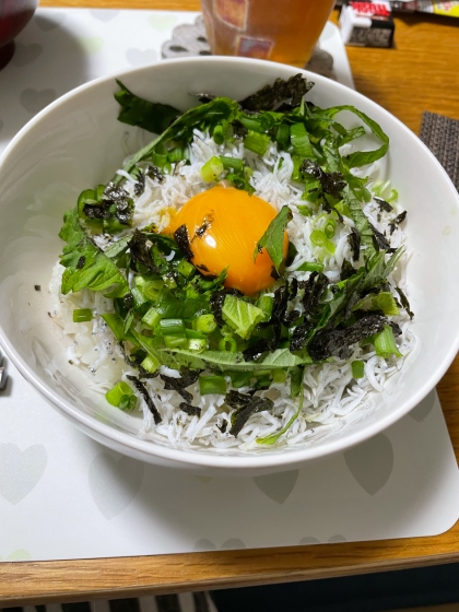 ランチ お手軽 焼津 の しらす丼